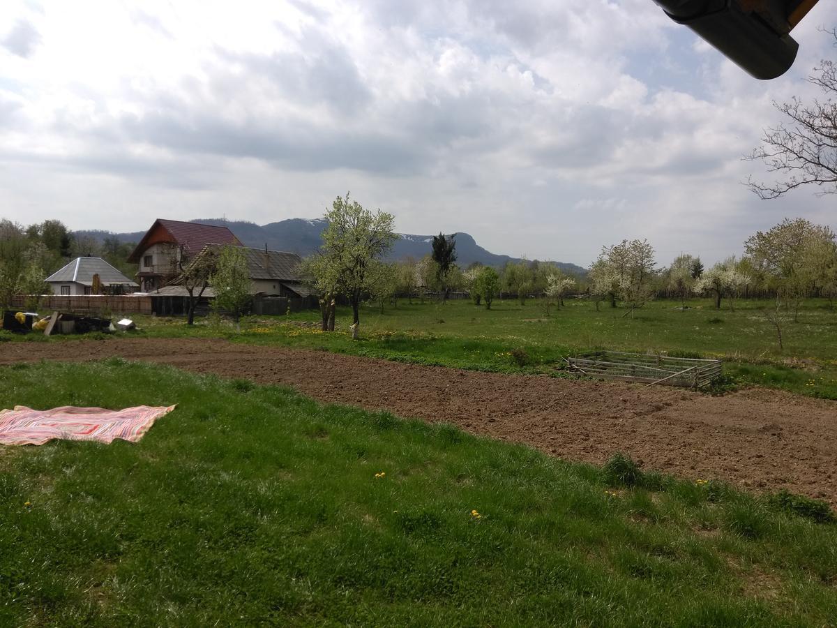 Pensiune Agroturistica "Casa Teodora" Budeşti Екстериор снимка