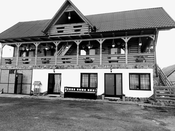 Pensiune Agroturistica "Casa Teodora" Budeşti Екстериор снимка