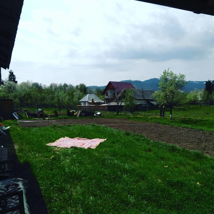 Pensiune Agroturistica "Casa Teodora" Budeşti Екстериор снимка