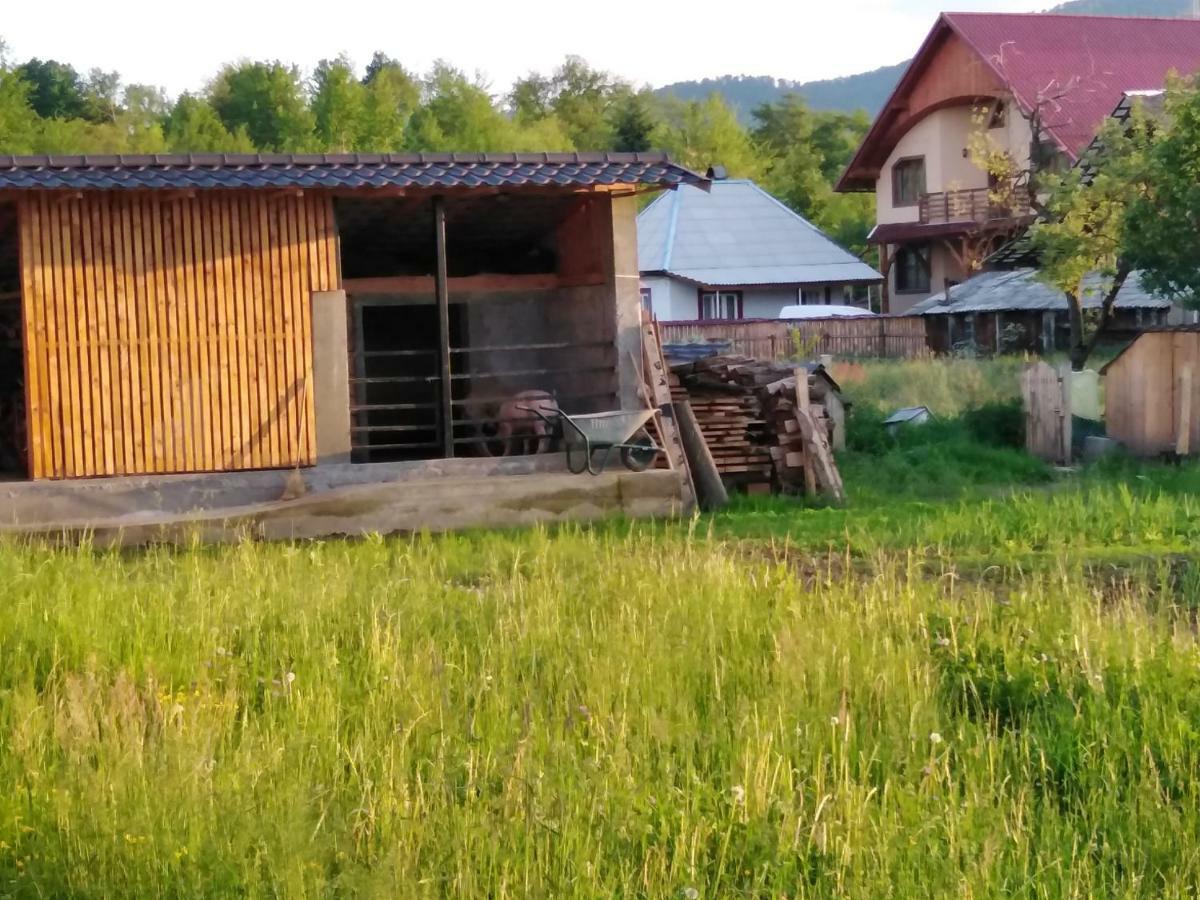 Pensiune Agroturistica "Casa Teodora" Budeşti Екстериор снимка